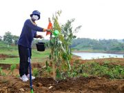 Hari Bhakti PU, Plt Bupati Kudus Tanam Pohon di Bendungan Logung