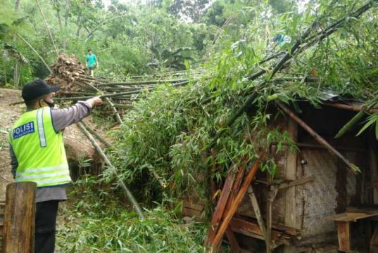 Disapu Angin, Rumpun Bambu Roboh Timpa Rumah di Grobogan