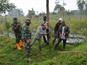 Pemasangan Patok Batas Jalan TMMD Reguler 110 Kodim 0707/Wonosobo