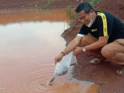 Manfaatkan Lahan Kosong, Kepala Badiklat Kumham Jateng Tebar 1.500 Benih Ikan