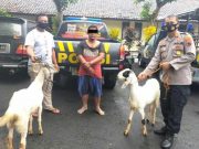 Petugas Polsek Tersono Ringkus Pencuri Kambing