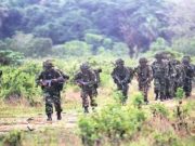 TNI Mulai Menyusuri Hutan, Buru Ali Kalora