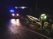 Respon Cepat Polisi Singkirkan Pohon Tumbang