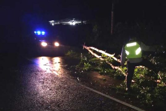Respon Cepat Polisi Singkirkan Pohon Tumbang