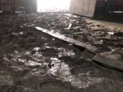 Banjir Surut, Warga Kedungtuban Bersih-Bersih Rumah