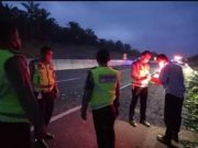 Kecelakaan Tol Trans Sumatera Pekanbaru Tewaskan Satu Penumpang
