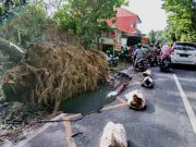 Kian Parah, Kerusakan Jalan di Kudus Mendesak Ditangani