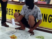 Petani di Temanggung Nekat Mengecat Cabai Muda Tergiur Harga Tinggi