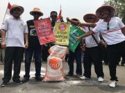 Petani Tebu Menjerit, Gula Rafinasi Kemasan 1 Kg Banjiri Pasaran
