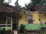 Diterjang Angin, Pohon Besar Timpa Rumah Warga di Wonosobo