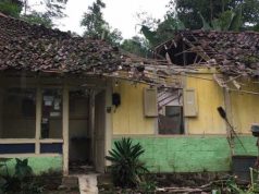 Diterjang Angin, Pohon Besar Timpa Rumah Warga di Wonosobo