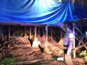 Rumah Peternakan Disantroni Maling, Puluhan Karung Pakan Ayam Hilang