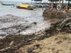 Pantai Nongsa Batam Penuhi Limbah Minyak