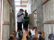 Pemprov Sulbar Maksimalkan Kegiatan BTT untuk Padat Karya Produktif