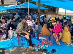 Diusir Pemilik Tanah, Pengungsi Gempa di Majene Terpaksa Bongkar Tendanya