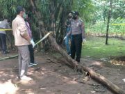 Kisah Pilu Sesudah Pria Warga Brecong Tewas Tertimpa Pohon Kepundung
