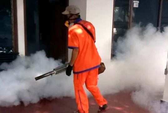 Ini yang Dilakukan Dinkes Wonogiri Menyikapi Warga Kota Diserang Chikungunya
