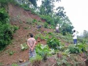 Kembali Bukit Setinggi 20 Meter di Tempur Longsor