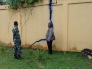 13 Rumah di Desa Tegeswetan Kepil Retak, Ini Sebabnya