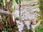 Mayat Tanpa Identitas Ditemukan di Waduk Wadaslintang