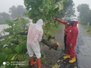 Banjir dan Pohon Tumbang Landa Geyer dan Toroh Grobogan