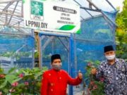 Perwakilan 27 Negara Kunjungi Pesantren Lintang Songo