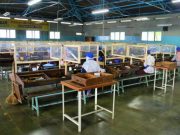Dampak Pandemi, PT Nojorono Turun ke Golongan II