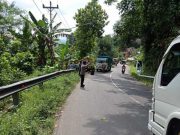 Kelebihan Muatan, Truk Pengangkut Pakan Ternak Terperosok