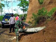 Material Tanah Longsor di Wonokasihan Sojokerto Dibersihkan