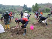 Ganjar Tanam Pohon di Lahan Kritis Desa Jragung Demak