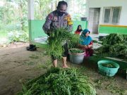 Luar Biasa, Bhabinkamtibmas Polsek Kunduran Dukung Ketahanan Pangan di Tengah Pandemi
