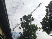 Tower Triangle CCTV Dishub Demak Roboh, Koneksi ke Pendapa Pemkab Terganggu