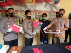 Jual Trenggiling, Warga Kepil Terancam 5 Tahun Penjara dan Denda Rp 100 Juta