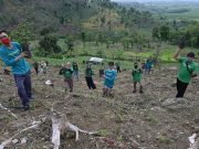 Aksi ‘Siap Darling’ Sukses Tanam 5.225 Bibit Pohon di Patiayam
