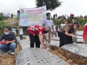 Pemkab Temanggung Dorong Peningkatan Produksi Bawang Putih