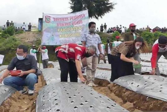 Pemkab Temanggung Dorong Peningkatan Produksi Bawang Putih