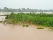 Sungai Sengon Meluap, Genangi 30 Ha Tanaman Padi dan Lingkungan Pemukiman