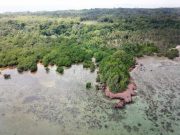 Misteri Pulau Parang, Gua Sarang, dan Kisah Gadis yang Tidak Setia