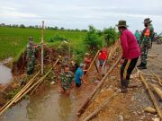 Warga Gotong Royong Perbaiki Tanggul Jebol di Suwawal