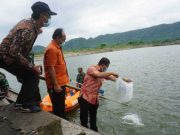 500 Ribu Benih Ikan Air Tawar Bantuan KKP, Diserahkan untuk Pemkab Klaten