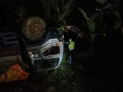 Truk Muatan Jagung Terguling di Desa Pulorejo