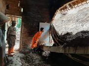 Tahun 2020 Terjadi 117 Tanah Longsor di Temanggung