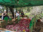 Habib Lutfi dan Gus Baha Sarankan Makam Habib Ja’far Alkaff Dibangun