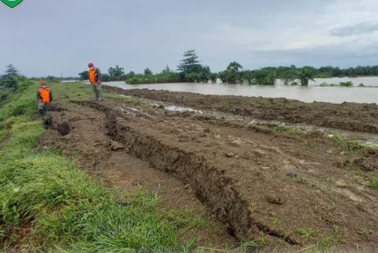 Tanggul Sungai Wulan Ambles, Banjir Besar Mengancam