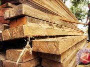 Dandim Putussibau Dorong Proses Oknum Aparat Terkait ‘Illegal Logging’