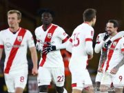 Southampton Singkirkan Wolves