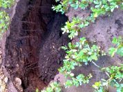 Tanah Ambles di Giritontro Wonogiri, Prediksinya Karena Pelapukan Batuan