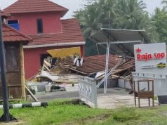 Angin Kencang Akibatkan Pohon Tumbang di 37 Titik, Listik Padam