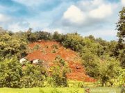 Hari Ke-4 Pencarian, SAR Evakuasi Satu Korban Longsor Nganjuk