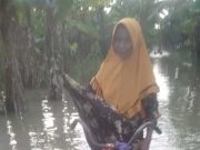 Banjir Melanda Desa Sowan Kidul, 100 Rumah Terendam Air
